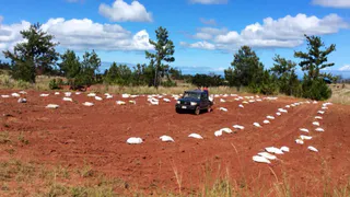 На пляже Фиджи, где нашли тела рязанцев, обнаружена человеческая голова