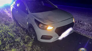 В Камешковском районе два автомобиля столкнулись из-за выбежавшего на дорогу лося