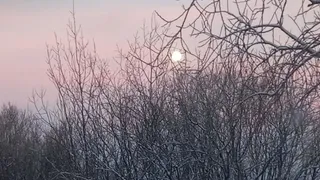 Усинск встречает 26 марта с переменчивой погодой