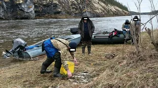 В Коми в нацпарке «Югыд ва» задержали браконьеров со 101 хариусом  