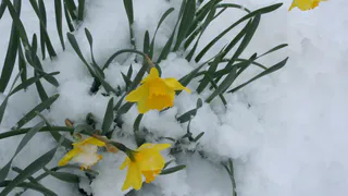 Ночью заморозки -2, днем ливни: Вильфанд дал точный прогноз на 9 мая