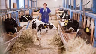 В Нижнекамске обозначили ключевые направления работы на 2016 год