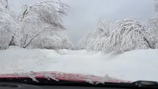 «Апрель сделает нам всем подлянку». Синоптики рассказали, к чему нужно готовиться