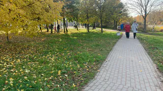 Ура, наконец-то дождались: пенсионный возраст возвращают на отметку 55/60 лет. Кто попадет в новую волну