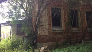 Авторская колонка: "Старинное здание XIX века зарастает кленами"