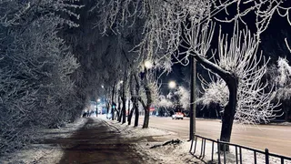 В Чувашии разбираются с «темным вопросом»