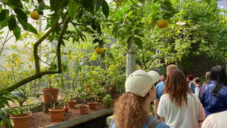 «Так нехорошо с гостями поступать»: туристка честно рассказала о плюсах и минусах отдыха в Грузии