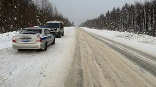 В Коми две пенсионерки получили травмы в съехавшем в кювет микроавтобусе