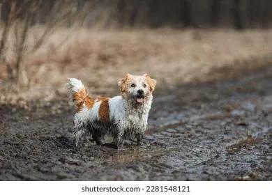 Погода недели: россияне увидят и дождь, и снег