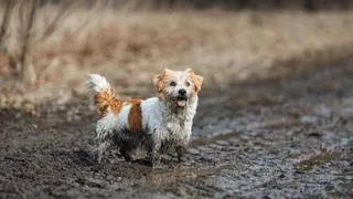 Погода недели: россияне увидят и дождь, и снег