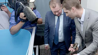 В пруду в Старожилово будут разводить сома, но рязанцам ловить не разрешат