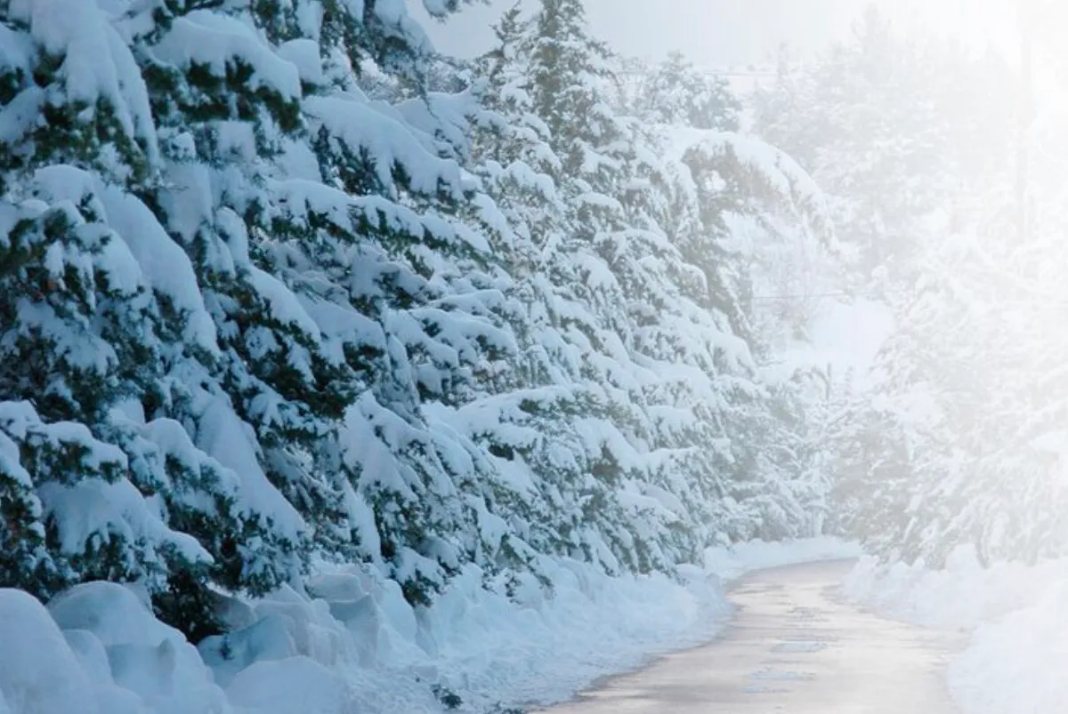 Когда снегопад во Владимирской области достигнет максимума