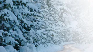 Когда снегопад во Владимирской области достигнет максимума