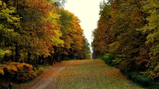 Какая погода будет на выходные в Нижнекамске?