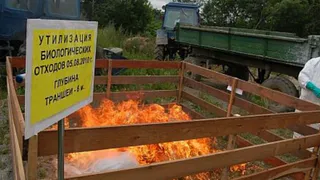 В Татарстане запускают сбор ветеринарных отходов по всей республике: уберут все скотомогильники