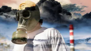 Чиновники Департамента природных ресурсов и экологии не выполняют указы Брянского Губернатора