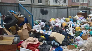 Лучше поздно, чем никогда: Минприроды РФ готовится к введению раздельного сбора мусора