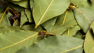 С первыми заморозками кладу лист лавра на батарею — и живу без бед: вот что происходит — вся семья замечает разницу