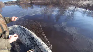 Инспекторы в Коми выявили браконьеров в природоохранной зоне