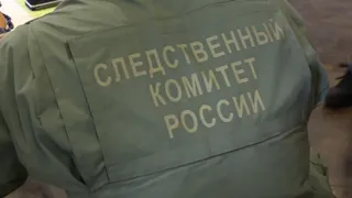 В с. Вадинск девочка пострадала, поскользнувшись на льду