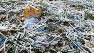 «Ноябрь будет как страшный сон». Синоптики сказали, к чему готовиться