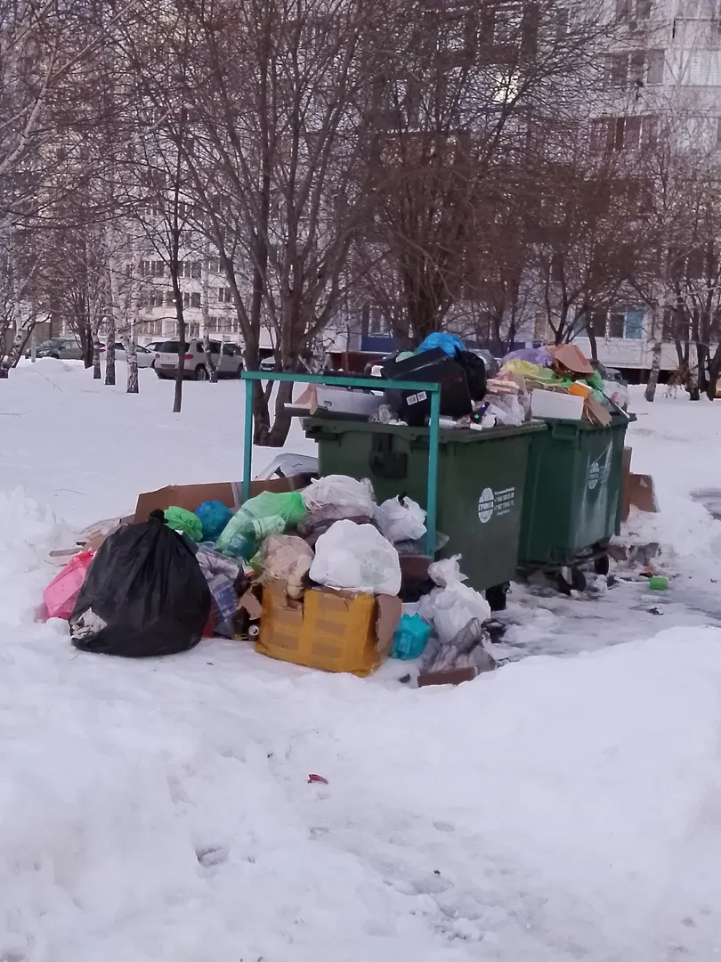 Город-свалка? Почему не вывозят мусор?