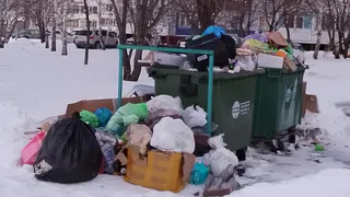 Город-свалка? Почему не вывозят мусор?