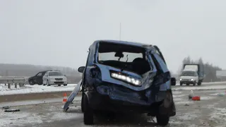 Пятилетняя девочка, выжившая в ДТП, находится в реанимации