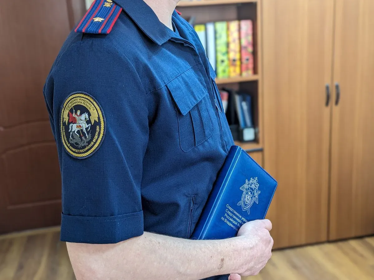 Владимирцев просят помочь в поиске похитителей картины и ее владельца