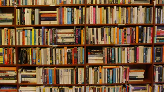 Стало известно, как получить данные из архивов Коми