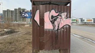 Дырявая остановка на ул. Алой беспокоит жителей Засечного