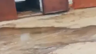 Жители Петушинского района жалуются на сточные воды, затопившие улицу