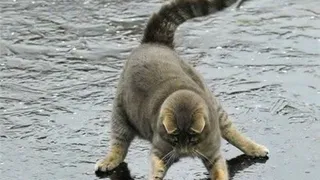 Нижнекамск к гололеду готов!