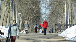 Прогноз погоды в Удмуртии на 25 марта: весеннее потепление до +7°C и риск гололедицы на дорогах
