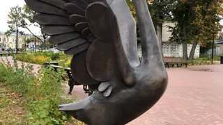 В Гусь-Хрустальном появилась символичная фигура гуся