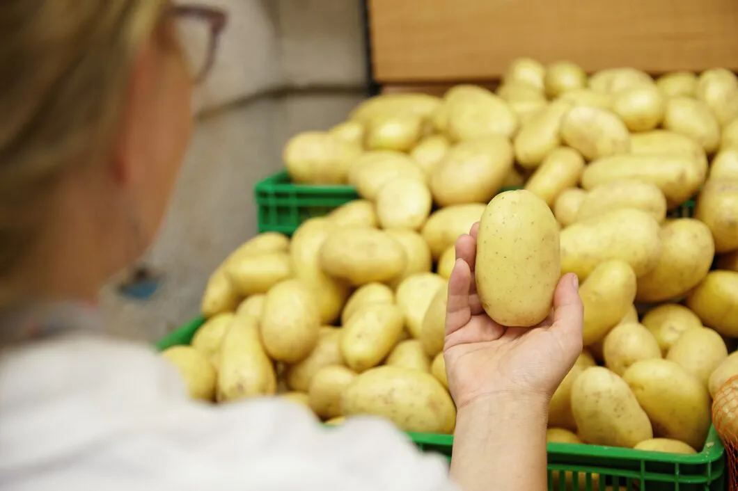В Коми сохранили выплаты самозанятым за продажу выращенного картофеля