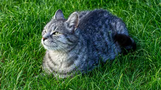 Будет свежо и дождливо: прогноз погоды на среду