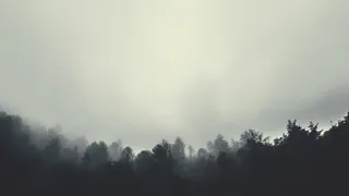 Рязанцев предупредили о сильном тумане и гололеде