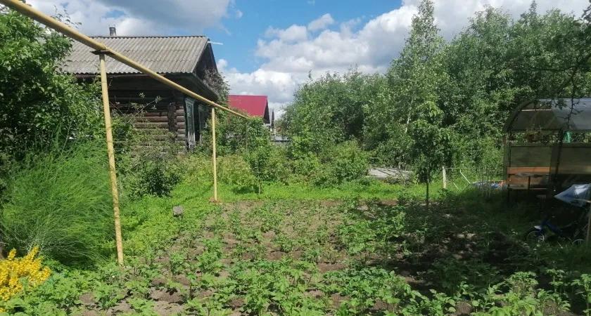Сразу заберут участок: всем, кто владеет землей - новые требования с августа