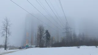 22 января в Коми усилится влияние арктического холода