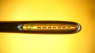 В Нижнекамске открыла двери выставка миниминиатюр