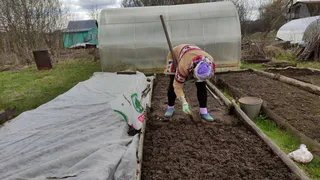 Посевной календарь на март 2026 года: что сеять в саду и почему откладывать уже нельзя