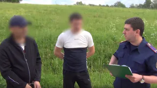 Вынесен приговор по громкому делу об убийстве пенсионерки в александровском СНТ