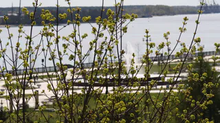 О погоде в Рязани - ждать ли резких похолоданий на этой неделе?