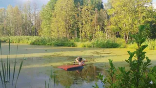 В Марий Эл уходящий от погони пьяный водитель вылетел в пруд, чуть не утонул и достал бутылку пива