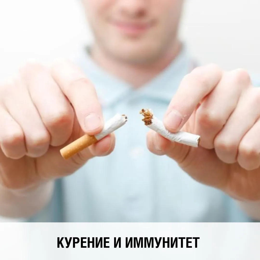 Вредные привычки. Как курение влияет на иммунитет?