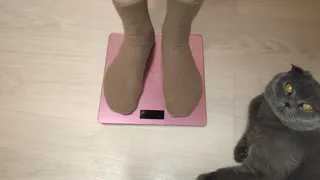 Как понять, что вы избаловали кошку: не повторяйте эти главные ошибки!