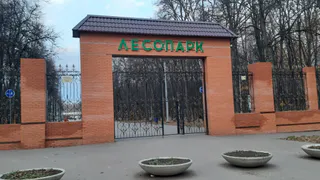 Рязанцы создали петицию против строительства школы в Лесопарке