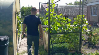 Переехали жить в деревню и только спустя год осознали, почему в деревнях больше не живут сельским хозяйством - причина всегда была на виду