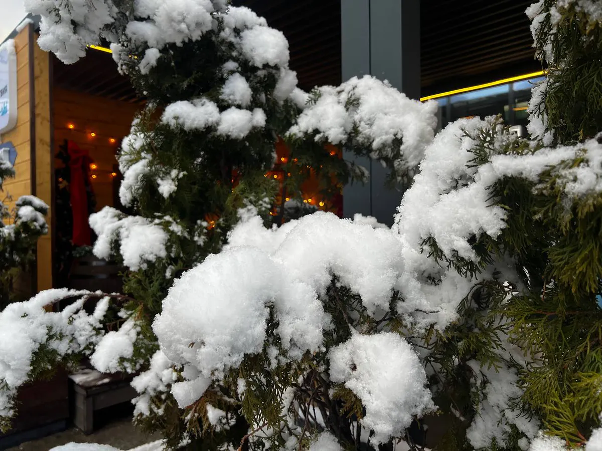 Весной одолеют аномальные морозы, которые будут хлеще зимних: синоптики обнародовали прогноз на март и апрель